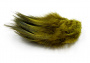 Перья Select Ringneck Spey Feathers (RPRSD-12; 20;36;08;03;02)